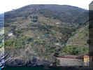 07_04_next_to_vernazza_vines_gardens.jpg (106965 bytes)