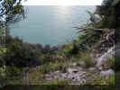 07_11_monterosso_vernazza_hike_cliff_next_to_trail.jpg (121645 bytes)