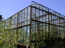 12_greenhouse_20010703 (104KB)