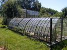 14_greenhouse_20010703 (124KB)