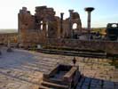 17_volubilis_momo_20020325 (68KB)